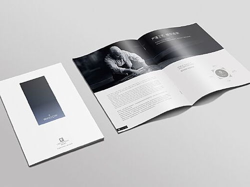 門窗畫冊設(shè)計服務(wù) 打造專業(yè)、美觀的品牌展示窗口